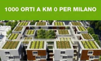 1000 Orti a Km 0 per Milano - Harpo Verdepensile