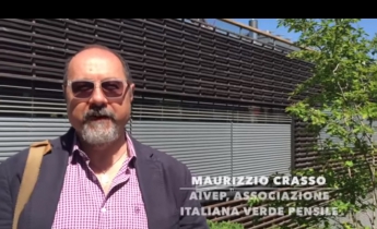 Harpo verdepensile | Urban green infrastructure 