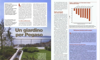 Un giardino per Pegaso