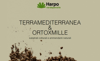 Harpo verdepensile - Brochure Terra Mediterranea & OrtoXmille