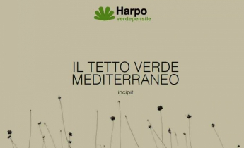 Il Tetto Verde Mediterraneo - Harpo Verdepensile