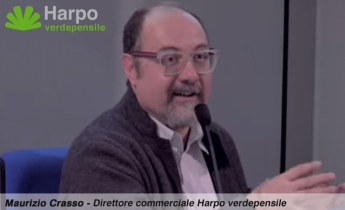 harpo_verdepensile_maurizio_crasso_news