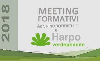 harpo verdepensile_meeting formativi