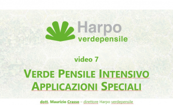 Video n. 7