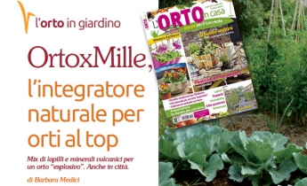 l'orto in casa - OrtoXmille - Harpo verdepensile