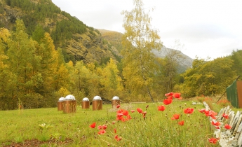 biodiversità