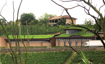 Verdepensile - Cantina la Morra - Harpo Group