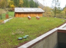 biodiversità