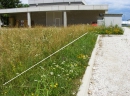 biodiversità