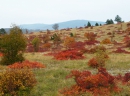 biodiversità