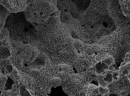 harpo_verdepensile_ortoxmille_substrato_ammendante