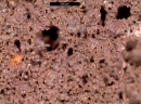 harpo_verdepensile_ortoxmille_substrato_ammendante