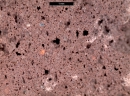 harpo_verdepensile_ortoxmille_substrato_ammendante